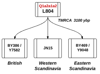 Q-L804 and it's three branches